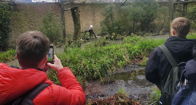Bezoek aan het Tierpark
