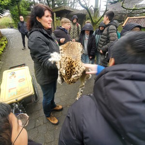 Bezoek aan het Tierpark