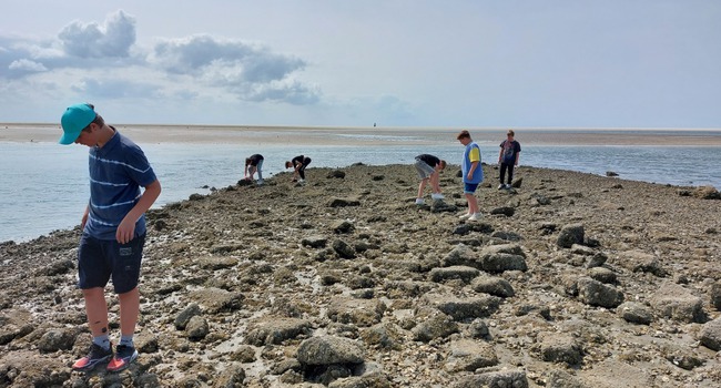 Borkum