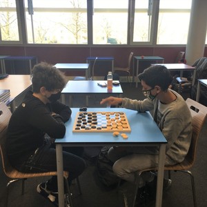 Dammen en Schaken