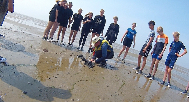 Klas 2 het Wad op