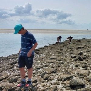 Les aan de Waddenzee