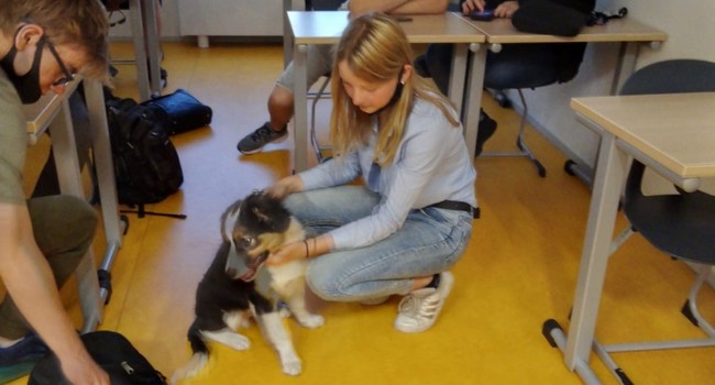 Luca in de les