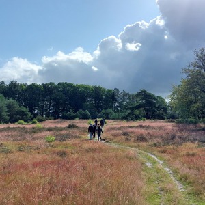 Maatschappelijke stage