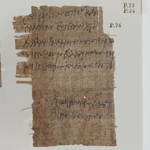 Met je neus in de papyri