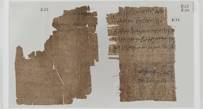 Met je neus in de papyri