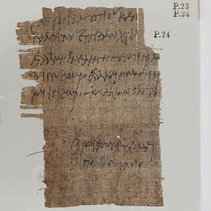 Met je neus in de papyri