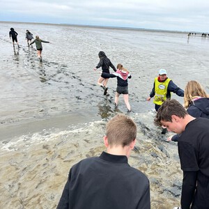Onderzoek Wadden