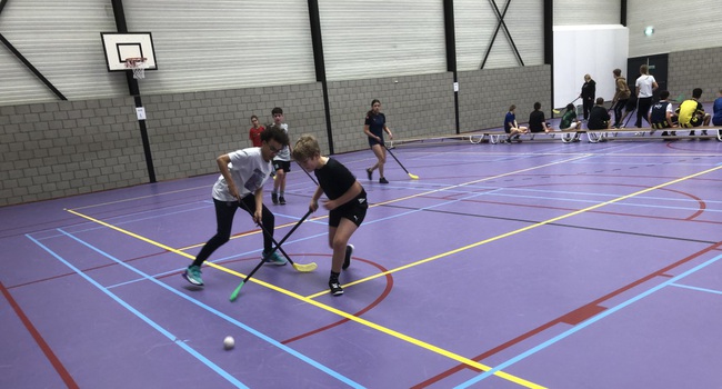 Sportdag