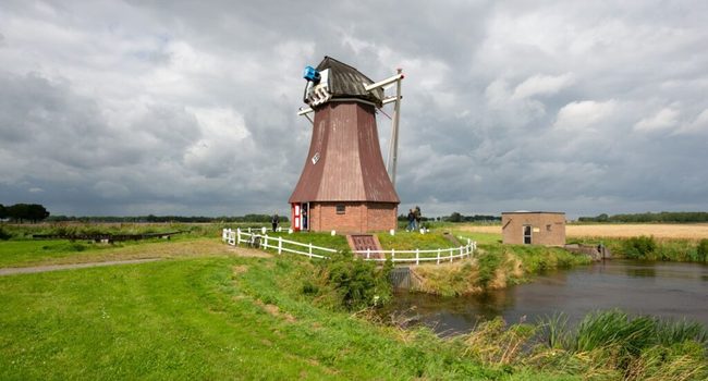 Vleugellam - stem op de molen!