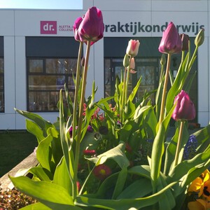 Vrolijk Pasen